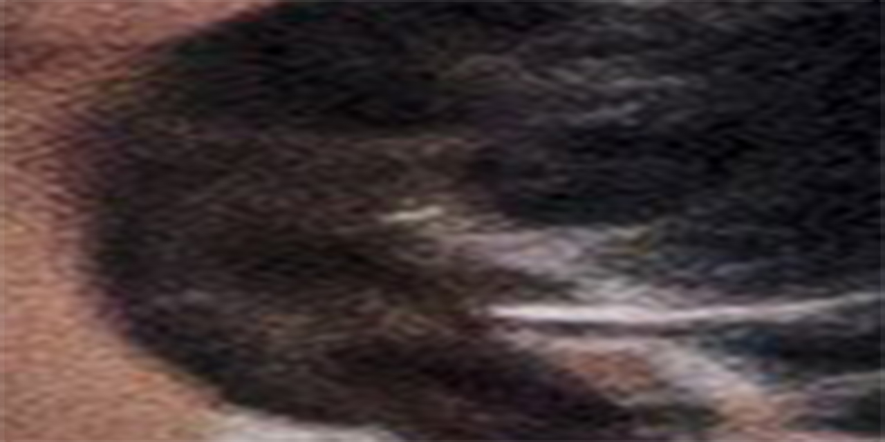 <span class="entry-title-primary">Tor</span> <span class="entry-subtitle">Gulisio Tímea verse</span>