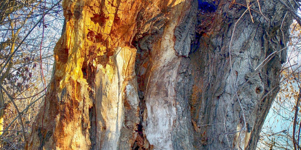 Felkészültél az uniós csatlakozásra?