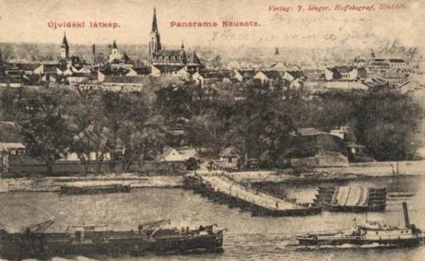 Mi keresnivalója lenne Harry Potternek Újvidéken?