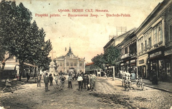 Mi keresnivalója volna Harry Potternek Újvidéken?