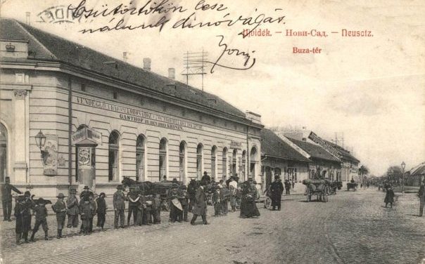 Mégis, vajon mi keresnivalója volna Harry Potternek Újvidéken?