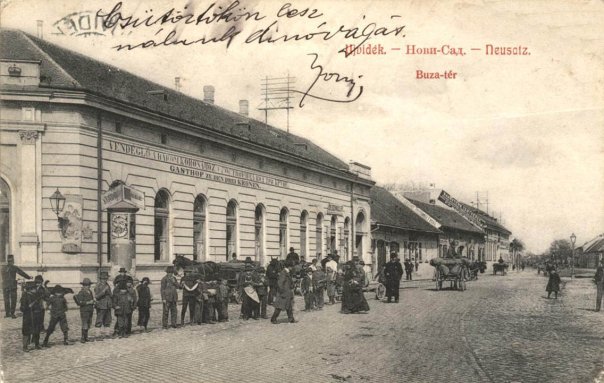 Mégis, vajon mi keresnivalója volna Harry Potternek Újvidéken?