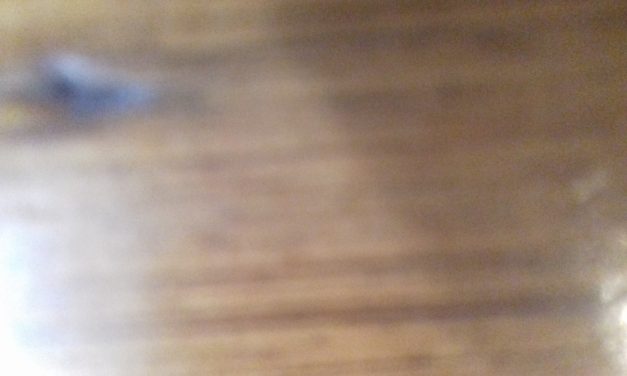 <span class="entry-title-primary">Húsvét vigiliája 1966</span> <span class="entry-subtitle">Szent II. János Pál pápa verse a Húsvét vigiliája című ciklusból</span>