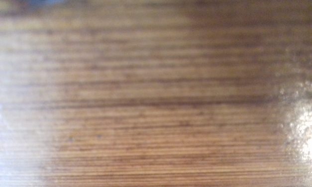 <span class="entry-title-primary">A Megsebzett Fa története</span> <span class="entry-subtitle">Szent II. János Pál pápa verse a Húsvét vigiliája című ciklusból</span>