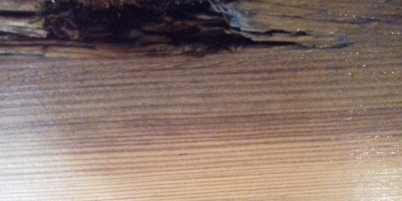 <span class="entry-title-primary">a ház</span> <span class="entry-subtitle">Jozefina Dautbegović Krajinović verse</span>