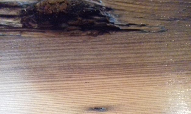 <span class="entry-title-primary">a ház</span> <span class="entry-subtitle">Jozefina Dautbegović Krajinović verse</span>