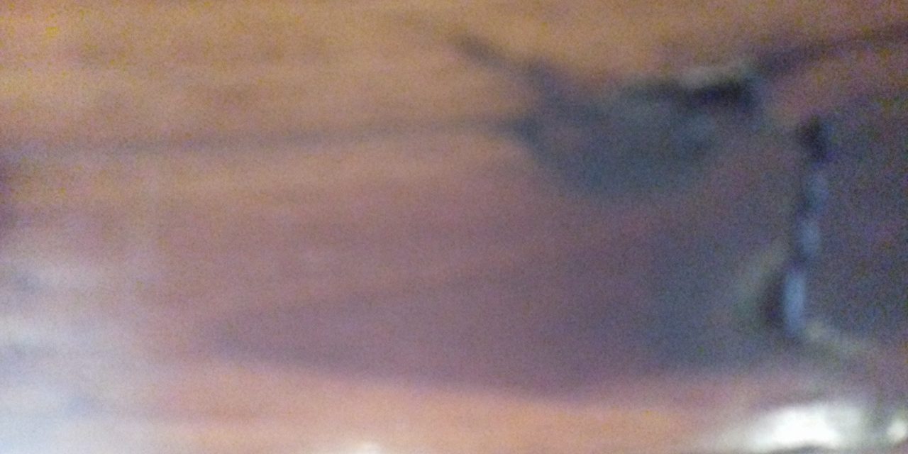 <span class="entry-title-primary">költözködés</span> <span class="entry-subtitle">Jozefina Dautbegović Krajinović verse</span>