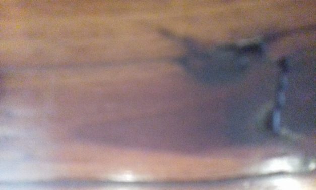 <span class="entry-title-primary">költözködés</span> <span class="entry-subtitle">Jozefina Dautbegović Krajinović verse</span>