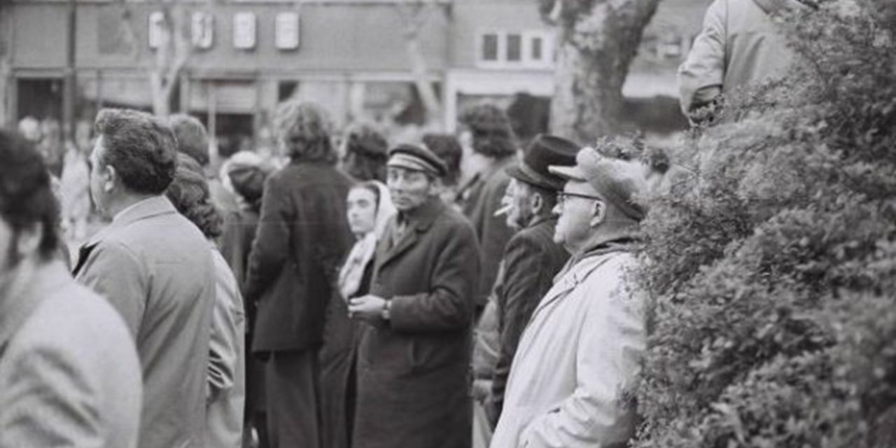 S a székelyekkel vajon zöld ágra tudnál vergődni?