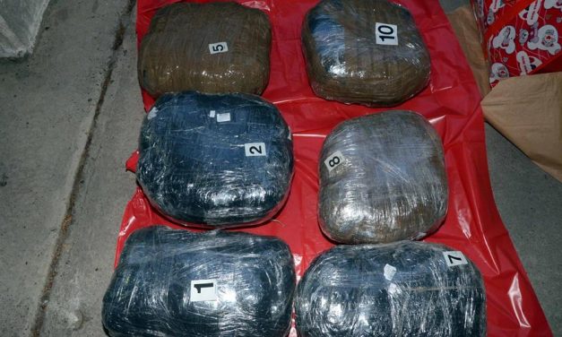 Huszonöt kilogramm marihuánát foglaltak le Szabadkánál