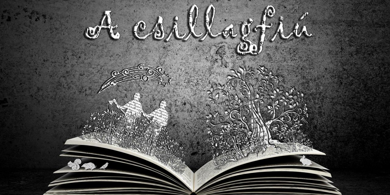 <span class="entry-title-primary">A csillagfiú</span> <span class="entry-subtitle">Zentai Magyar Kamaraszínház, április 8. – Kezdés: 10,00</span>