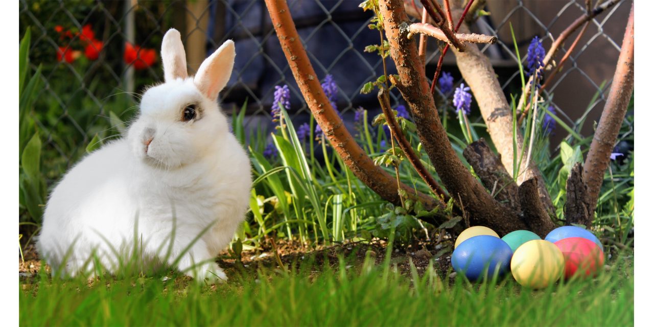 Így lesznek nyitva az üzletek és a posták a húsvéti ünnepek alatt