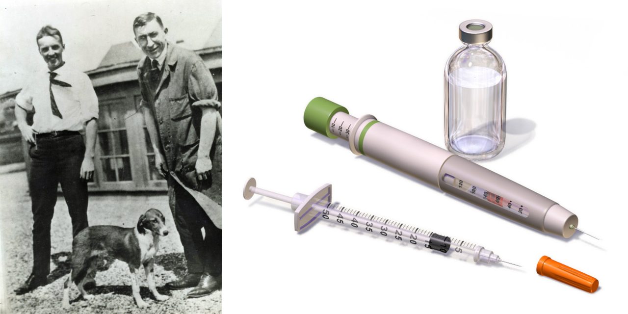 <span class="entry-title-primary">Édes kis semmiség</span> <span class="entry-subtitle">Az inzulin felfedezését kutyáknak köszönhetjük</span>