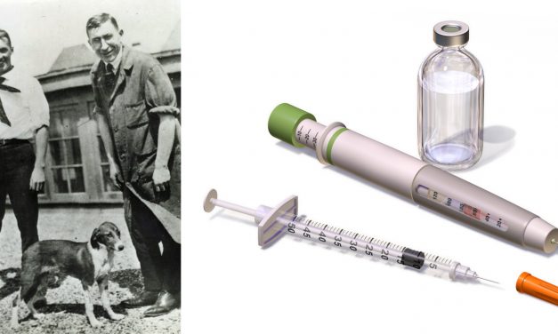 <span class="entry-title-primary">Édes kis semmiség</span> <span class="entry-subtitle">Az inzulin felfedezését kutyáknak köszönhetjük</span>