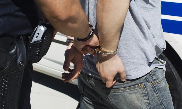 Tizenhat vámhivatalnokot tartóztattak le, tizenegy millió eurós kárt okozhattak