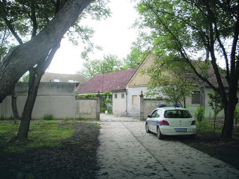 Miért csinálod ezt, öt gyereked van! – mondta és pár másodperc múlva már halott volt