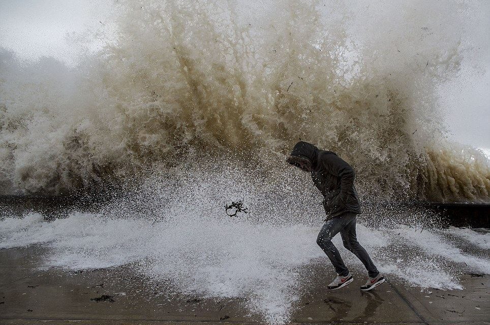 Viharos szél: Törnek a fák Szabadkán