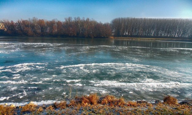 <span class="entry-title-primary">Mérgező anyag került a Tiszába</span> <span class="entry-subtitle">A szennyezés Romániában történt, de napokon belül Vajdaságba érkezhet</span>