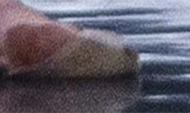 <span class="entry-title-primary">Tartalomjegyzék</span> <span class="entry-subtitle">A Szabad Magyar Szó versrovatának időrendi katalógusa</span>