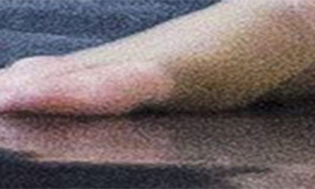 <span class="entry-title-primary">Címmutató</span> <span class="entry-subtitle">A Szabad Magyar Szó versrovatának címek szerint rendezett katalógusa</span>