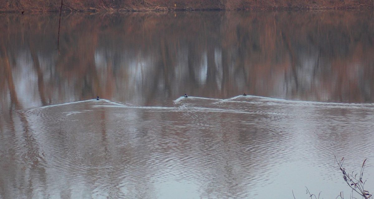 Mit hoz(hat) nekünk az Európai Unió?