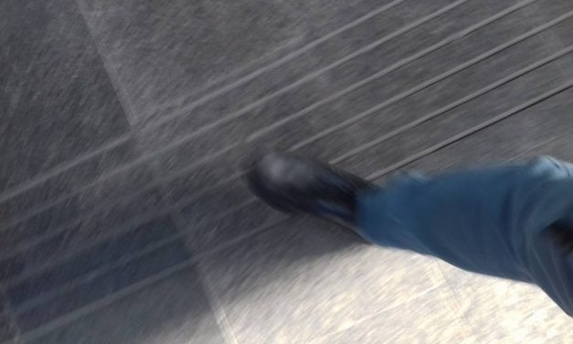 <span class="entry-title-primary">ŐszhajIQ</span> <span class="entry-subtitle">Baley Endre verse</span>