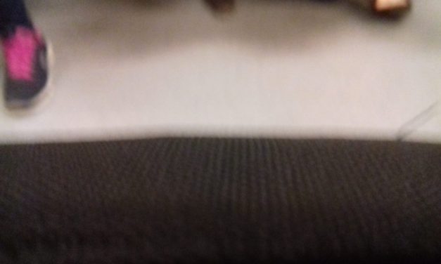 <span class="entry-title-primary">Brémai haiku-krokik</span> <span class="entry-subtitle">Pap József verse</span>