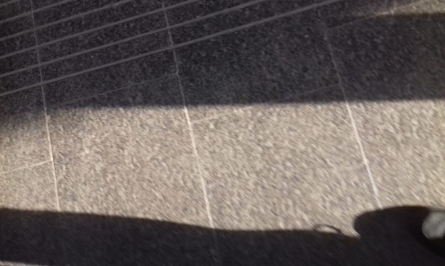 <span class="entry-title-primary">Napvers</span> <span class="entry-subtitle">Török (Torok) Csaba képverse</span>