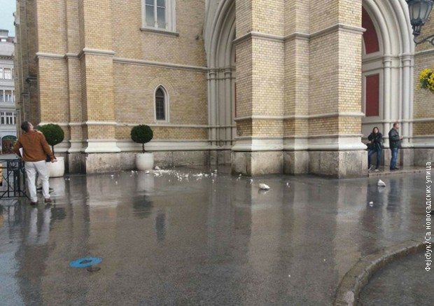 A vihar megrongálta az újvidéki római katolikus templomot