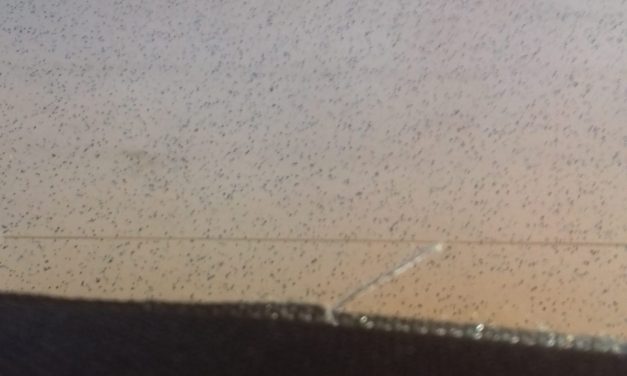 <span class="entry-title-primary">Zuhanó álmok</span> <span class="entry-subtitle">Dési Ábel verse a Tragikus lét című ciklusból</span>