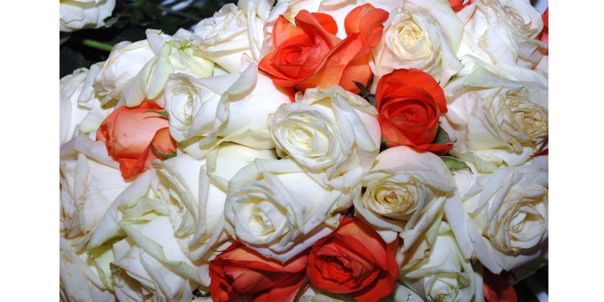 <span class="entry-title-primary">Rózsák háborúja</span> <span class="entry-subtitle">A nemesi pusztítás</span>