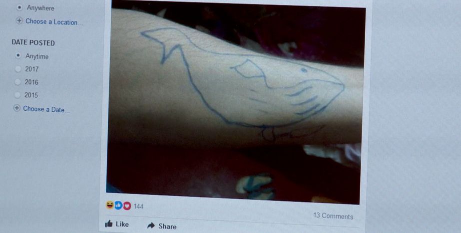 Óbecsén jelent meg Szerbiában először a Kék Bálna