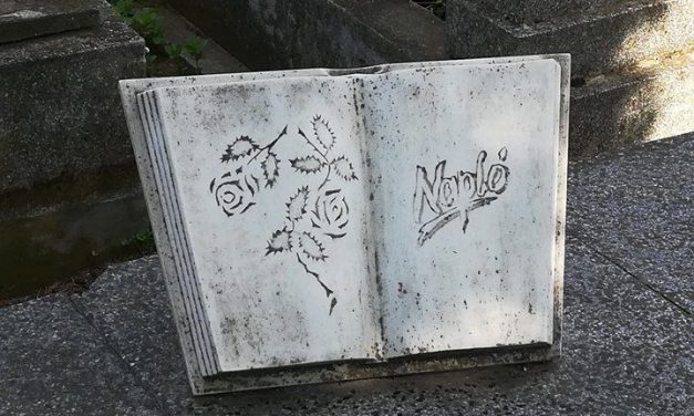 El nem mondott beszéd…