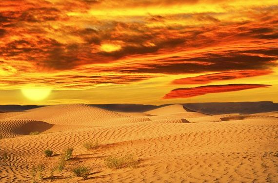 Afrikai naplemente Vajdaságban