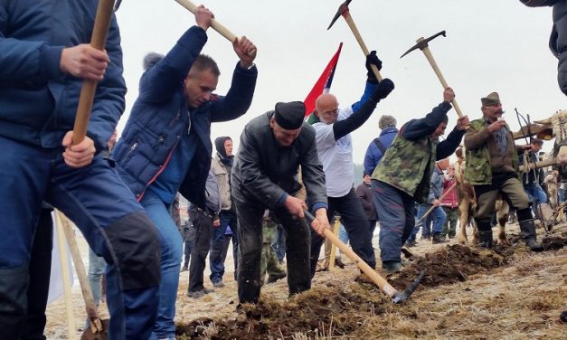 A zlatiboriak erőgépekkel vonulnak a kormány elé