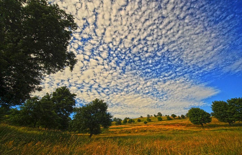 <span class="entry-title-primary">Ki mit csinált álmában</span> <span class="entry-subtitle">Ács Károly verse a Danse macabre című sorozatból</span>
