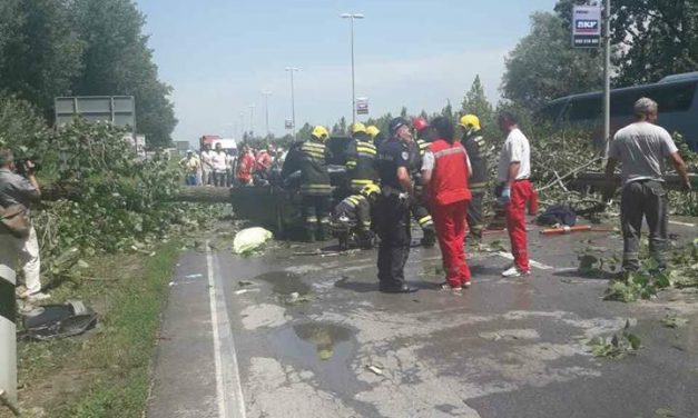 Egy ember meghalt az újvidéki ítéletidőben