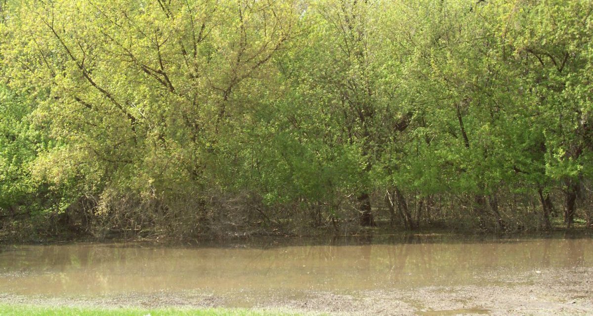 A villámárvizeket előrejelző rendszert alakítanak ki a magyar-szerb határ menti térségben