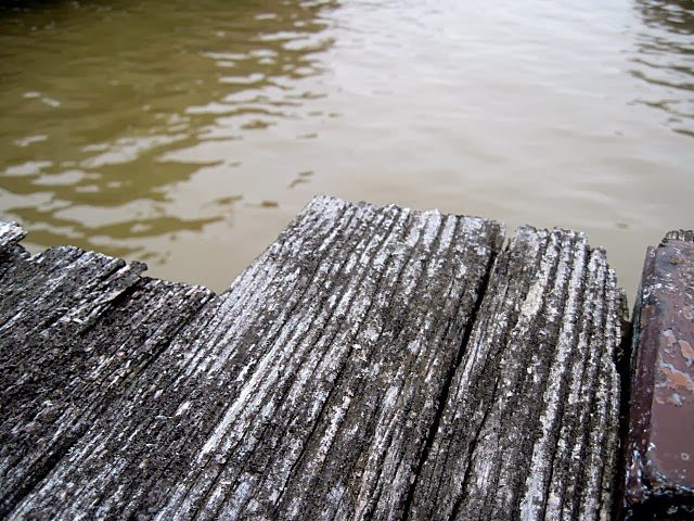 <span class="entry-title-primary">Szent-Szondikátus</span> <span class="entry-subtitle">Baley Endre verse</span>