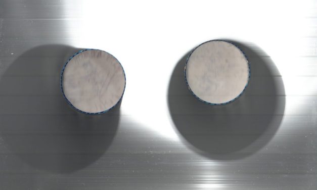 <span class="entry-title-primary">Sakura-változat egy dupla haikura</span> <span class="entry-subtitle">Elek Szilvia verse</span>