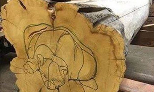 <span class="entry-title-primary">Meghatározás</span> <span class="entry-subtitle">Fehér Kálmán verse</span>