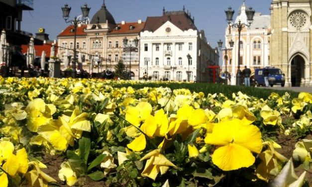 Az újvidékieknek elegük van a helyi rendőrség viselkedéséből