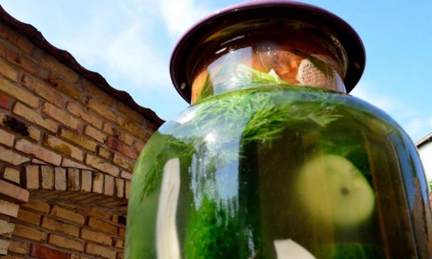 A kovászos uborka dicsérete