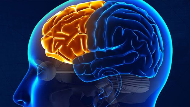 A beidegződések felülírhatók, de nem tűnnek el az agyból