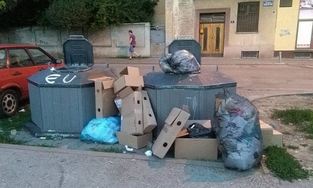 Hatmillióért őrzik a kukákat Újvidéken