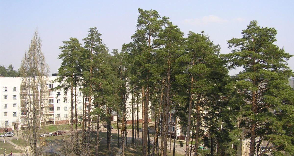 Megdőlhet a Guinness-vízumrekord