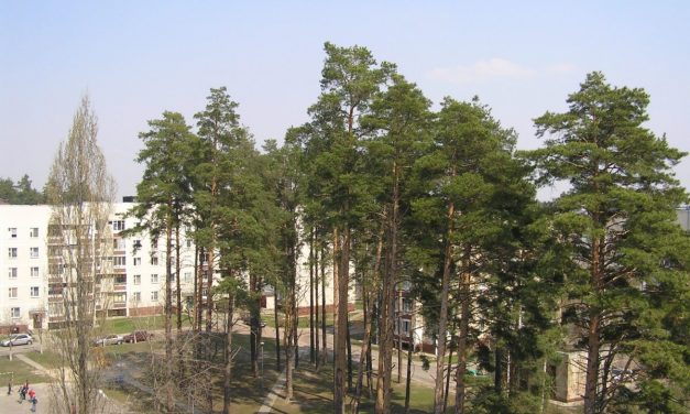 Megdőlhet a Guinness-vízumrekord