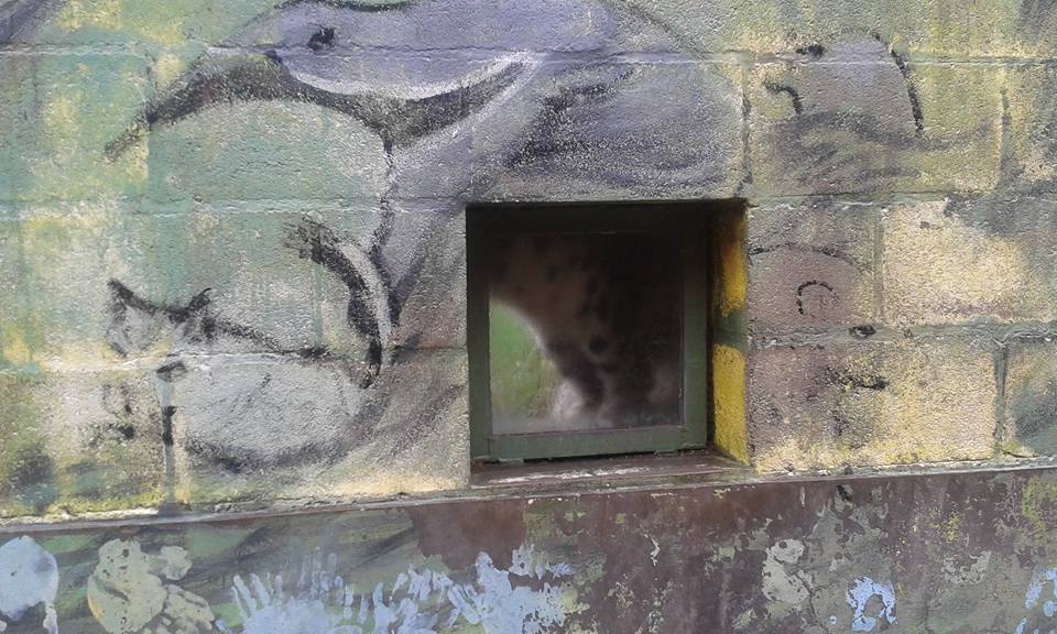 <span class="entry-title-primary">A költő</span> <span class="entry-subtitle">Doncsev Toso verse</span>