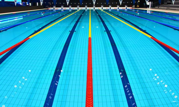 <span class="entry-title-primary">Kezdődik a vizes világbajnokság</span> <span class="entry-subtitle">Péntektől július 30-ig Budapest ad otthont a 17. FINA vizes világbajnokságnak</span>