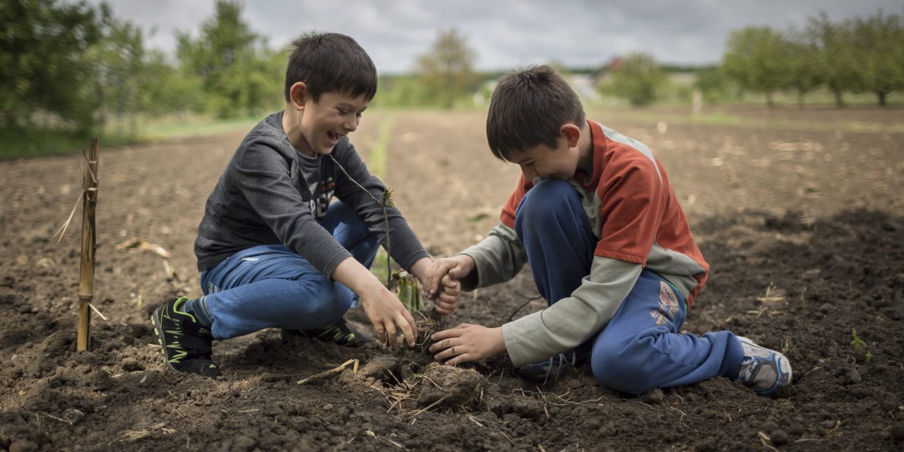 Kárpátaljai gyerekek